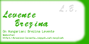 levente brezina business card